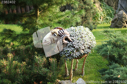 Image of Flower bed garden sheep