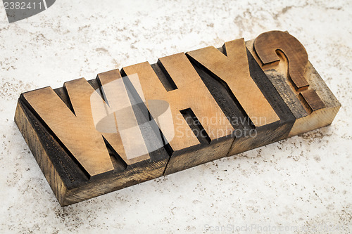 Image of why question in wood type