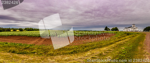 Image of Panoramic