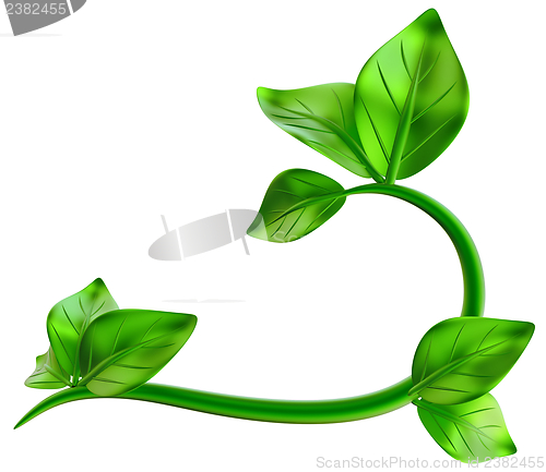 Image of abstract green branch with leafs as decoration