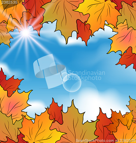 Image of Autumn leaves maple, sky, clouds