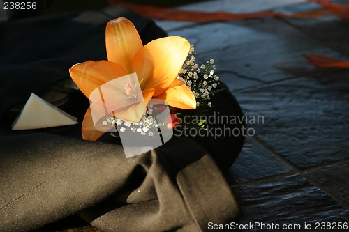 Image of Orange tigerlilly