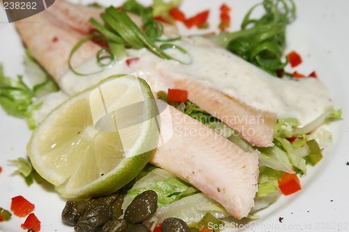 Image of Salmon starter