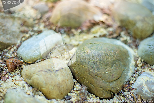 Image of barefoot track