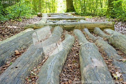Image of barefoot track