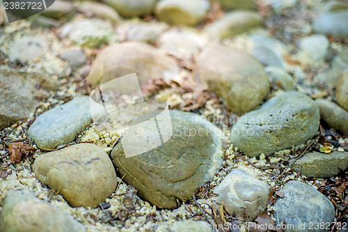 Image of barefoot track