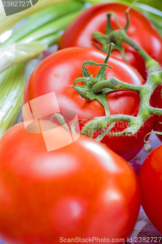 Image of vine tomatoes