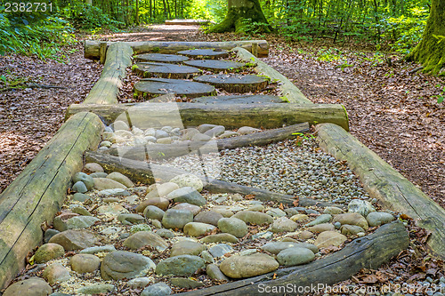 Image of barefoot track