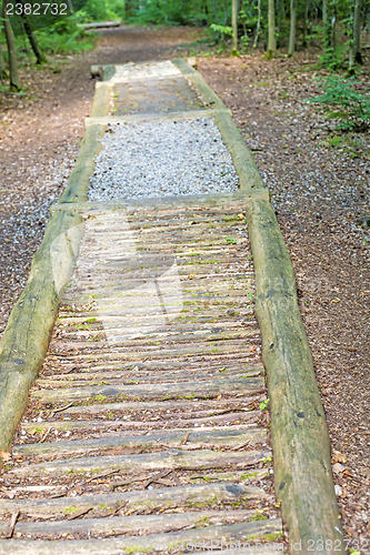 Image of barefoot track