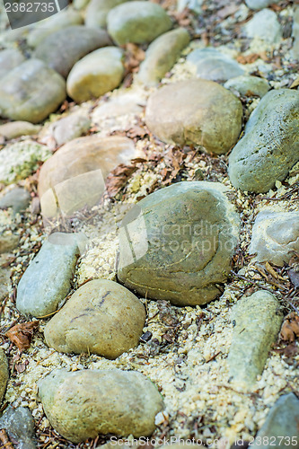 Image of barefoot track