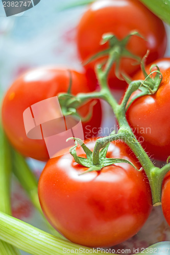 Image of vine tomatoes