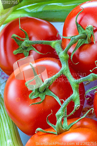 Image of vine tomatoes