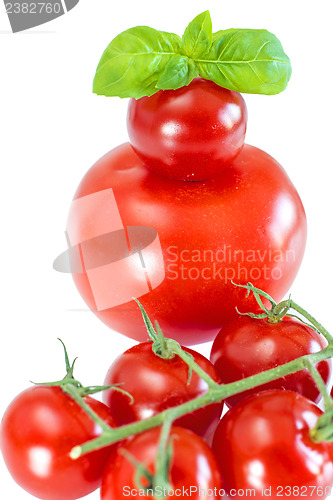 Image of vine tomatoes