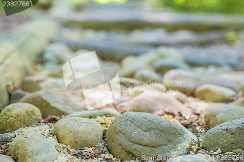 Image of barefoot track