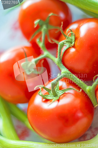 Image of vine tomatoes