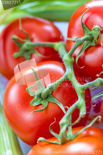 Image of vine tomatoes