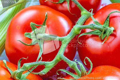 Image of vine tomatoes