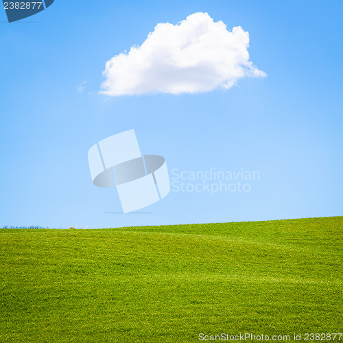 Image of Green field in Tuscany