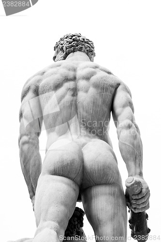 Image of Man Back