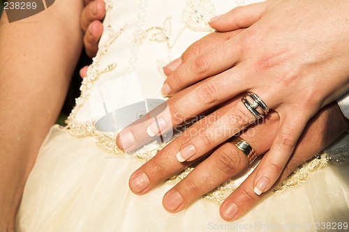 Image of Romantic hands with wedding rings