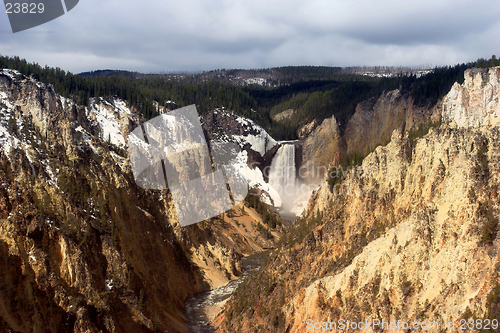 Image of lower falls of yellowstone