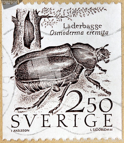 Image of Hermit Beetle Stamp