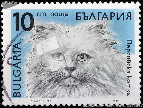 Image of Persian Cat Stamp