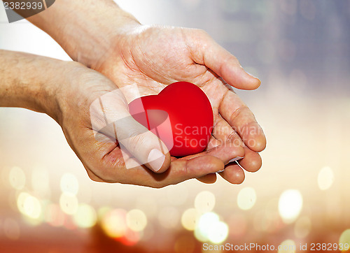 Image of artificial red heart on hands