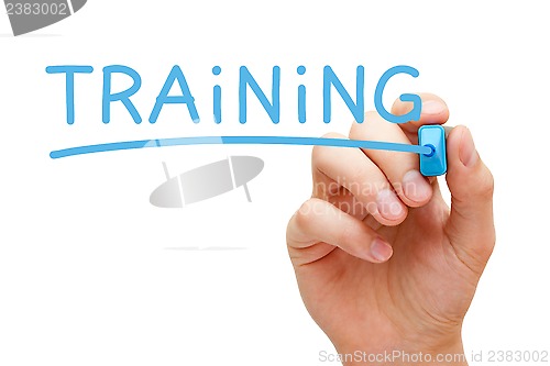 Image of Training Blue Marker