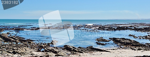 Image of In to the blue...