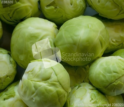 Image of Brussels sprouts