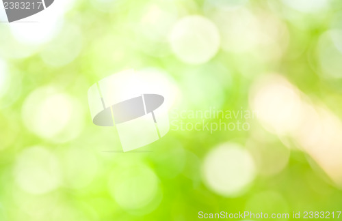 Image of Bokeh