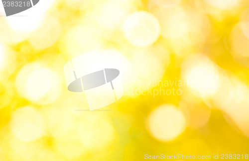 Image of Bokeh