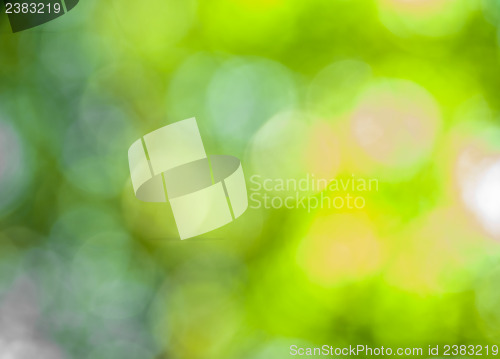 Image of Bokeh