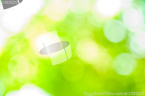 Image of Bokeh