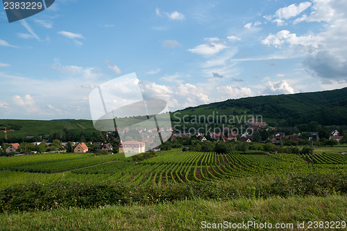 Image of Alsace landscape and vinewyard