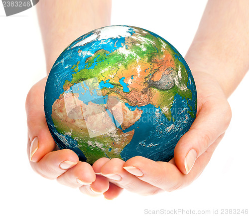 Image of Hand of the person holds globe.