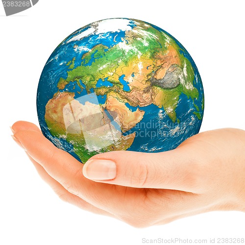 Image of Hand of the person holds globe.