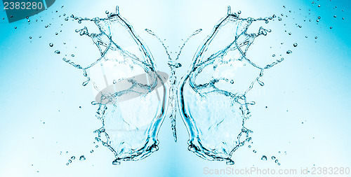 Image of Butterfly splashing water