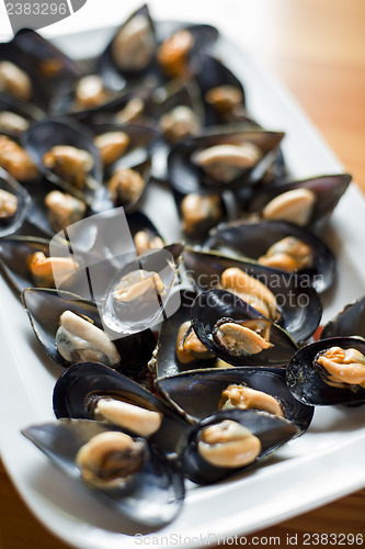 Image of Mussels