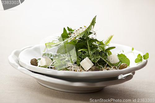 Image of Salad