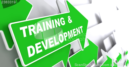 Image of Training and Development. Education Concept.