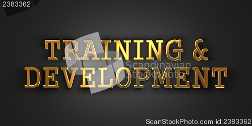 Image of Training and Development. Business Concept.