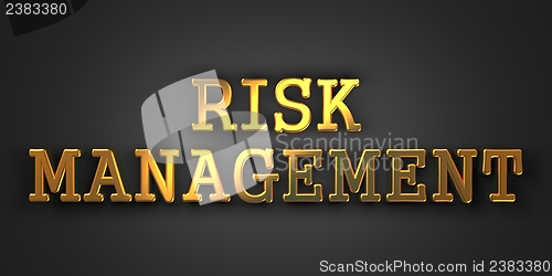 Image of Risk Management. Business Concept.