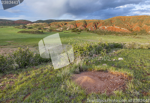 Image of Colorado mountain ranch 