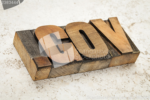 Image of dot gov internet domain