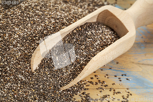 Image of scoop of chia seeds