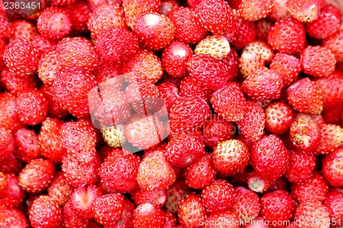 Image of delicious strawberries