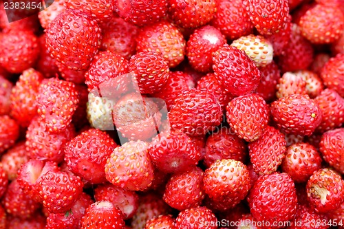 Image of delicious strawberries