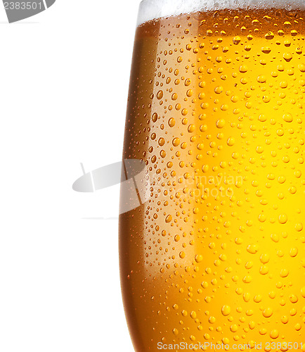 Image of Glass of beer